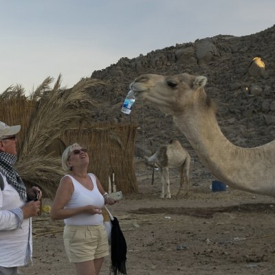 Auch Kamele haben Durst